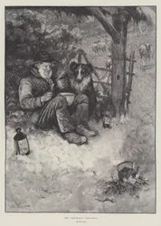 The Shepherd